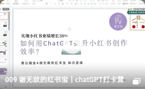 009 谢无敌的红书宝｜chatGPT打卡营